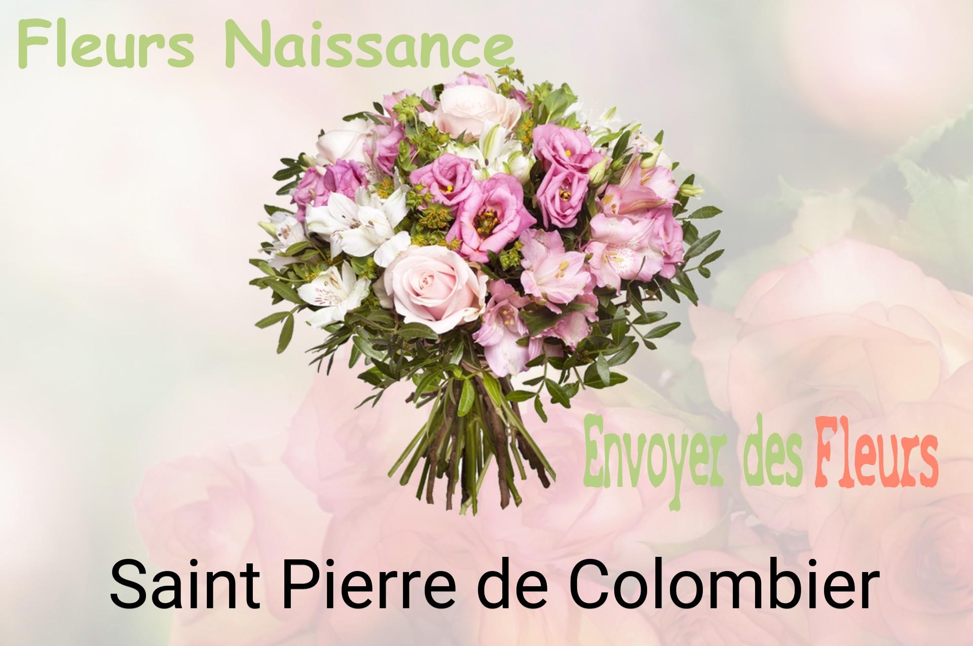 Bouquet de fleurs de naissance livré à Saint-Pierre-de-Colombier
